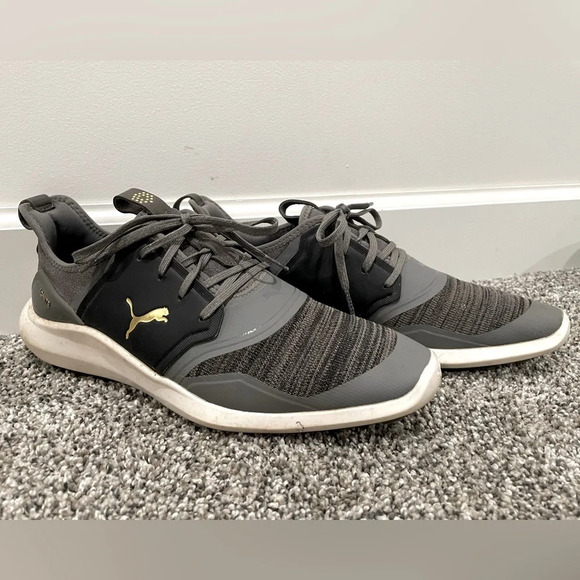 Puma Other - Puma Ignite men's golf shoes, size 8.5 (EU 41)